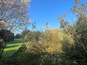 Ferienhaus | Blick von der Unterkunft