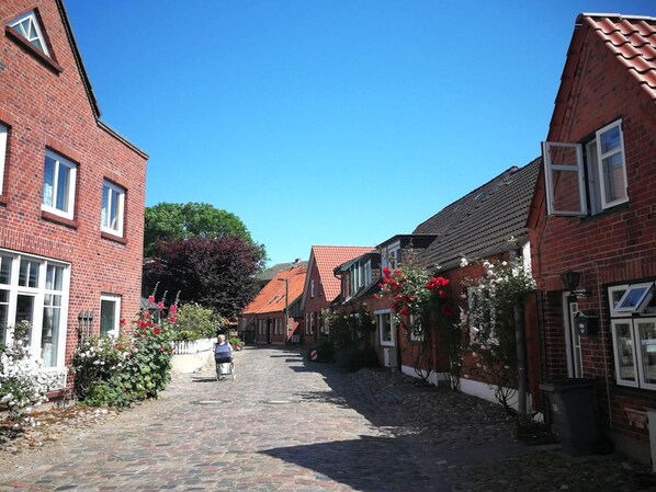 House | View from property