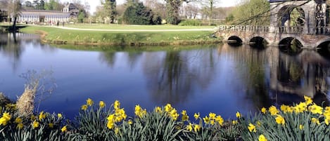 Apartment | View from property