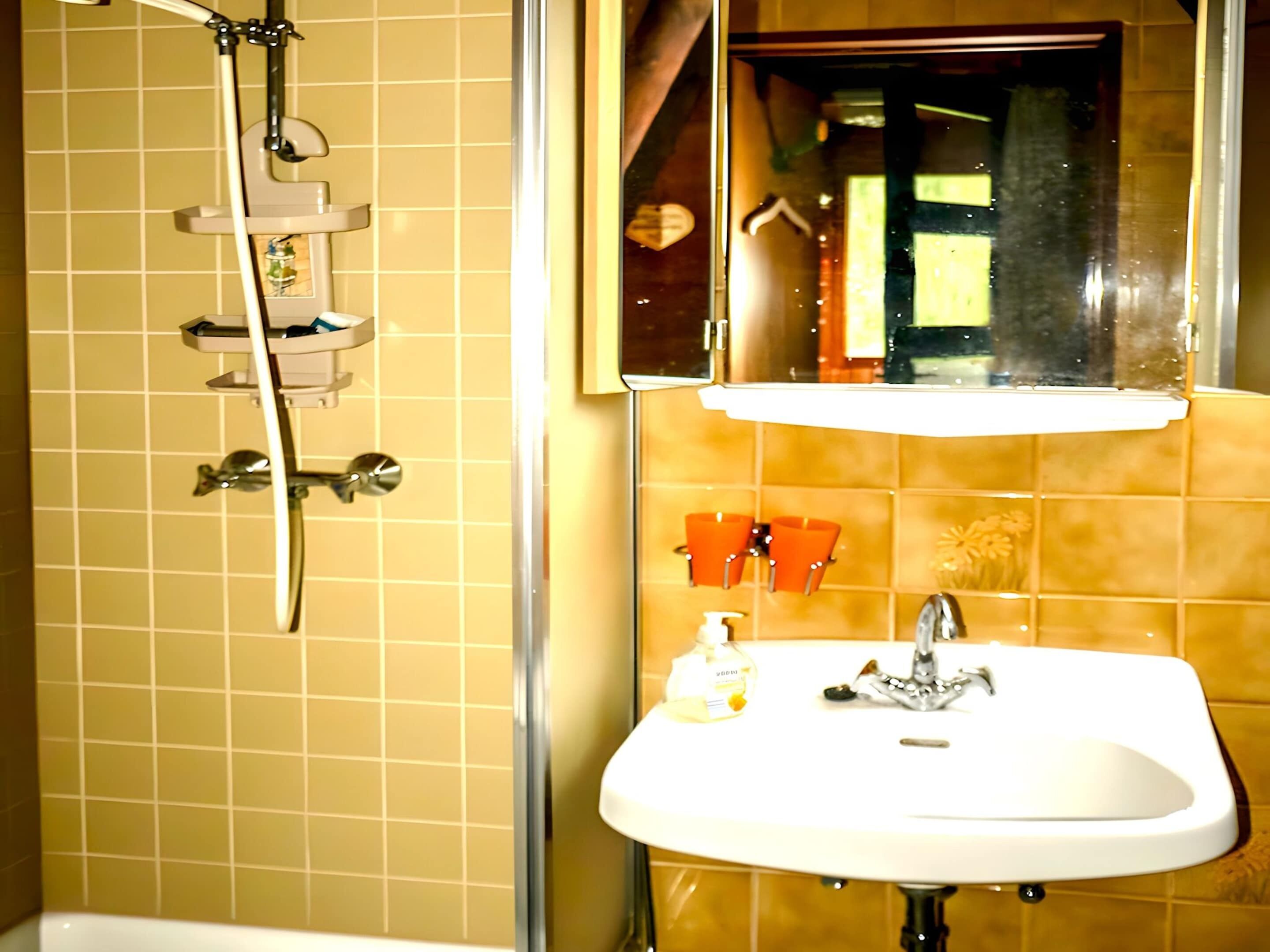 Une salle de bain avec un lavabo blanc, une douchette à main et un miroir au-dessus du lavabo.