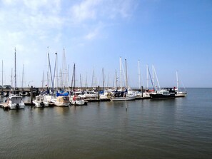 A marina with multiple sailboats docked at the pier. - Nordsee-ferienhaus mit Terrasse (Wangerland)