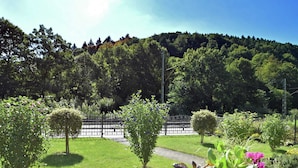 A garden with a variety of plants and a pathway. - Grosszugiger Komfort, Rubeland (Oberharz am Brocken)