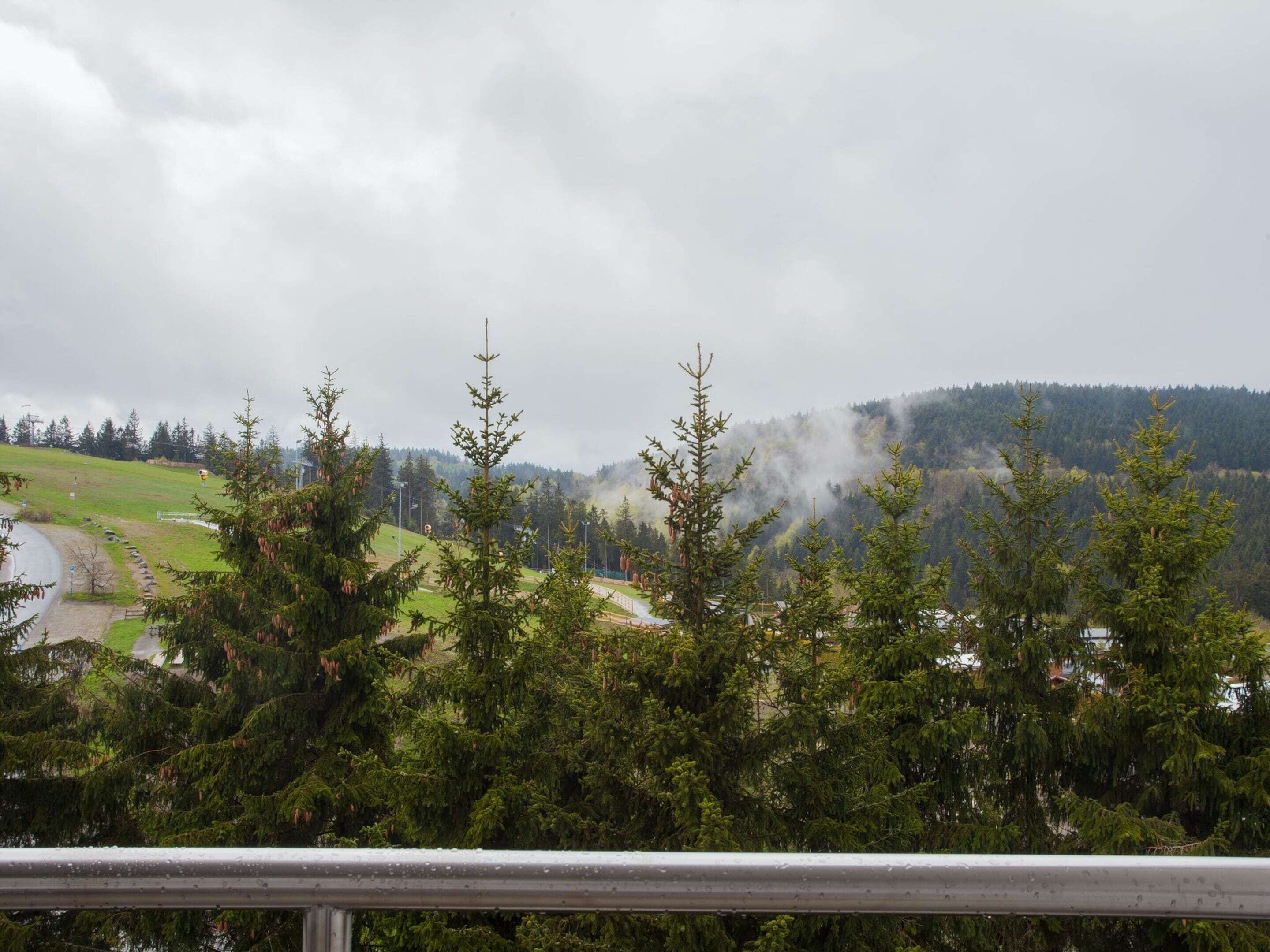A view of a forested area with a road and a body of water in the background.