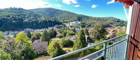 Apartment | Blick von der Unterkunft