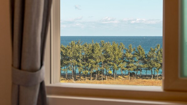 基本客房, 1 間臥室 (mulbyeongjali A(osyeonbyu)) | 1 間臥室、免費無線上網