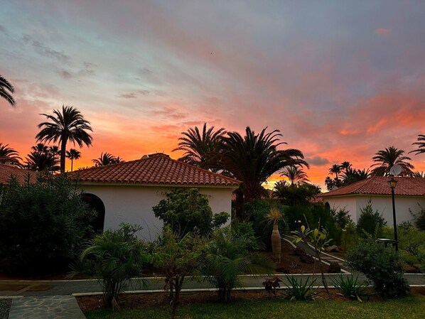 A building with a tiled roof and a garden with palm trees.