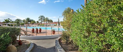 A pathway leading to a swimming pool with palm trees and a clear sky.