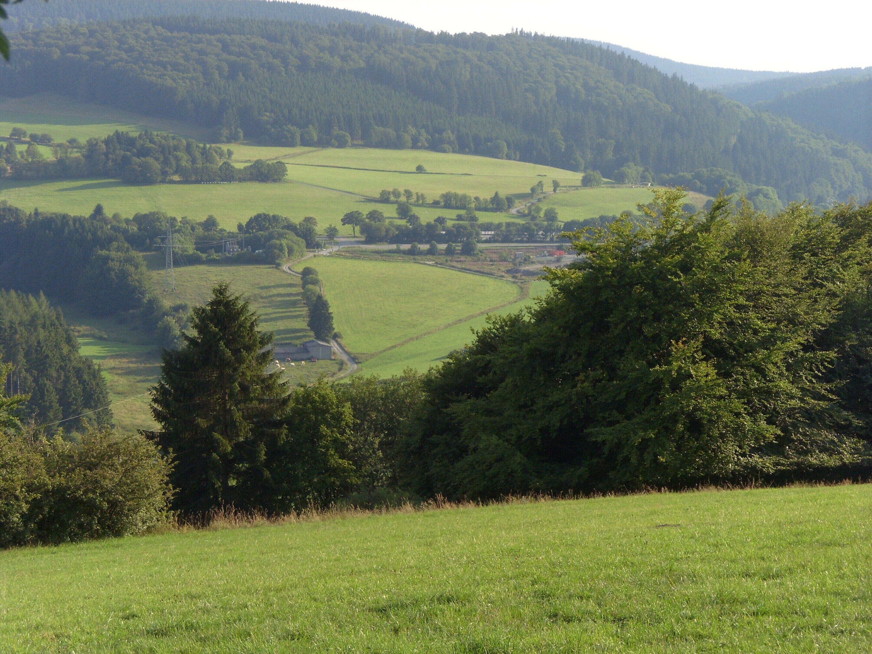 A rural landscape with rolling hills, fields, and scattered trees.