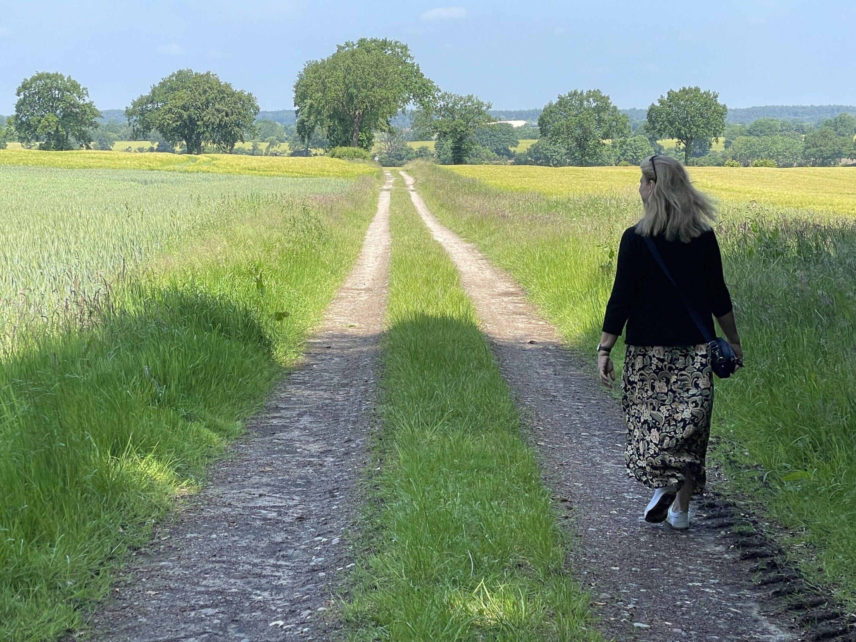 A person walking on a gravel path through a field with trees in the distance.