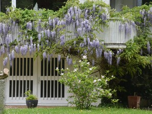 Departamento | Exterior