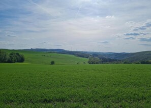 House | View from property - Ferienwohnung Eifelruhe in Filz (Filz)
