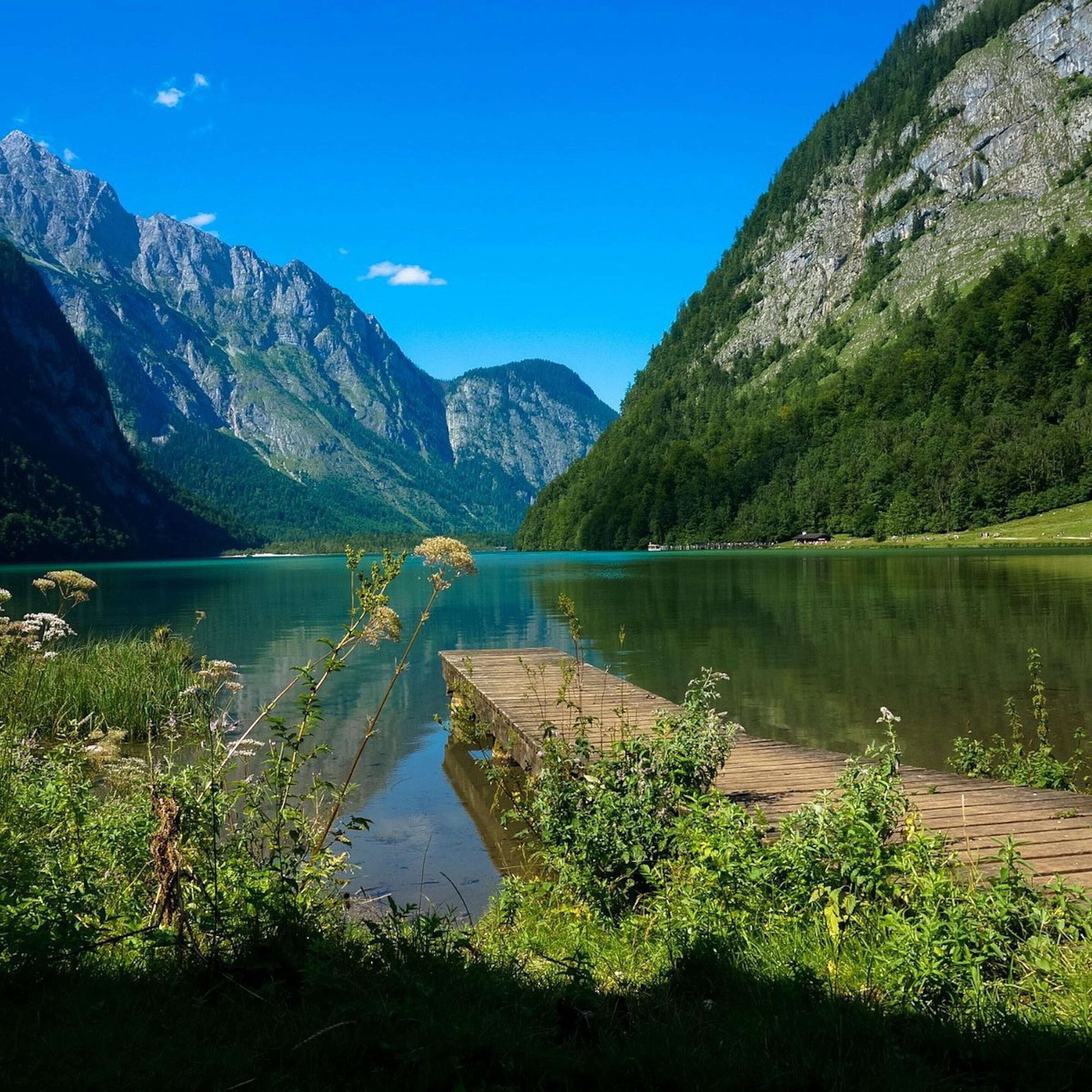 A serene lake with a wooden dock, surrounded by lush green mountains and clear blue sky.