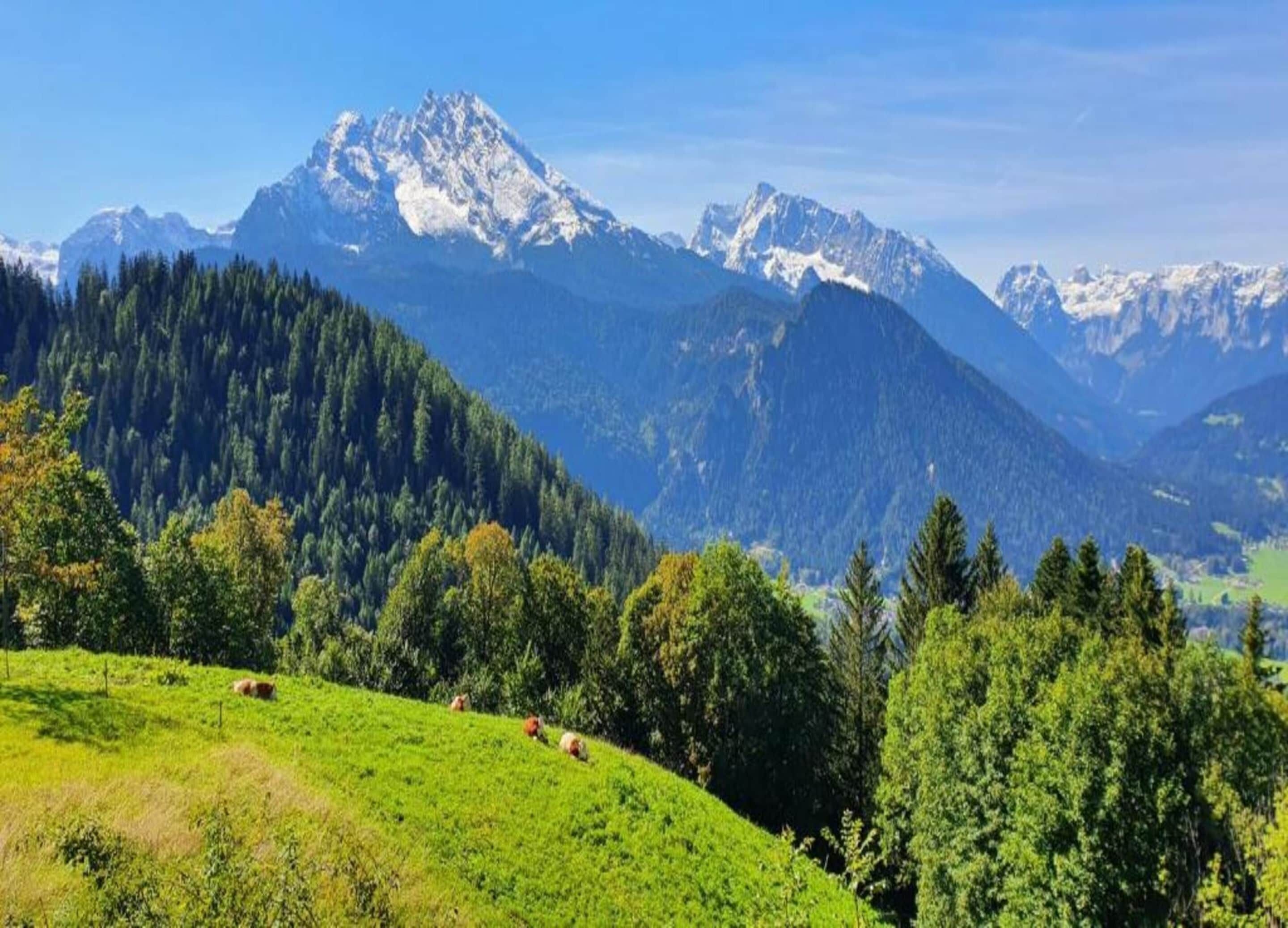 Căn hộ | Quang cảnh nhìn từ nơi lưu trú