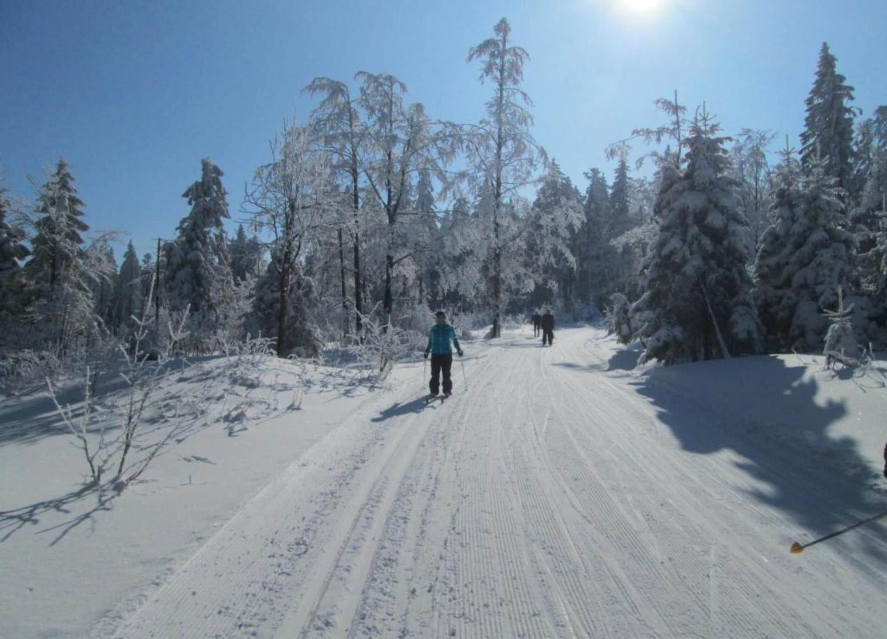Un sentier forestier enneigé où l'on voit des personnes faire du ski.
