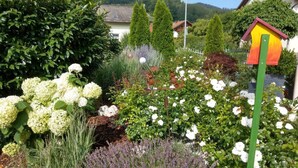 Ein Garten mit verschiedenen Pflanzen und Blumen, einem Vogelhaus und einem Haus im Hintergrund.