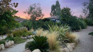A garden with various plants, rocks, and a gravel path. - Villa Maestro Maria 🏡Warm welcome 🧡 heated pool 🌞beach 5' away 🏖️ (Lecci)