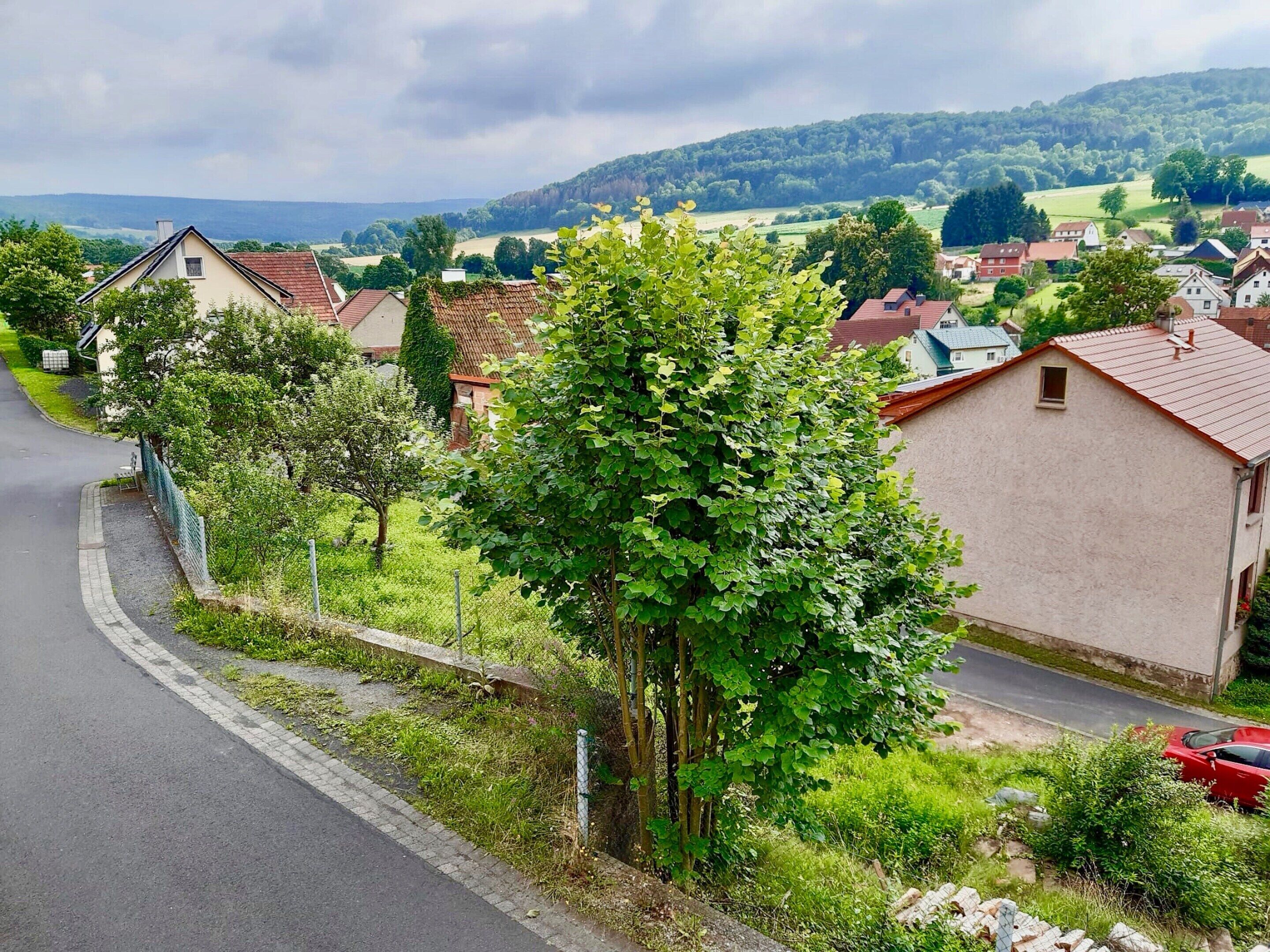 A residential area with houses, a road, and a tree-lined street.