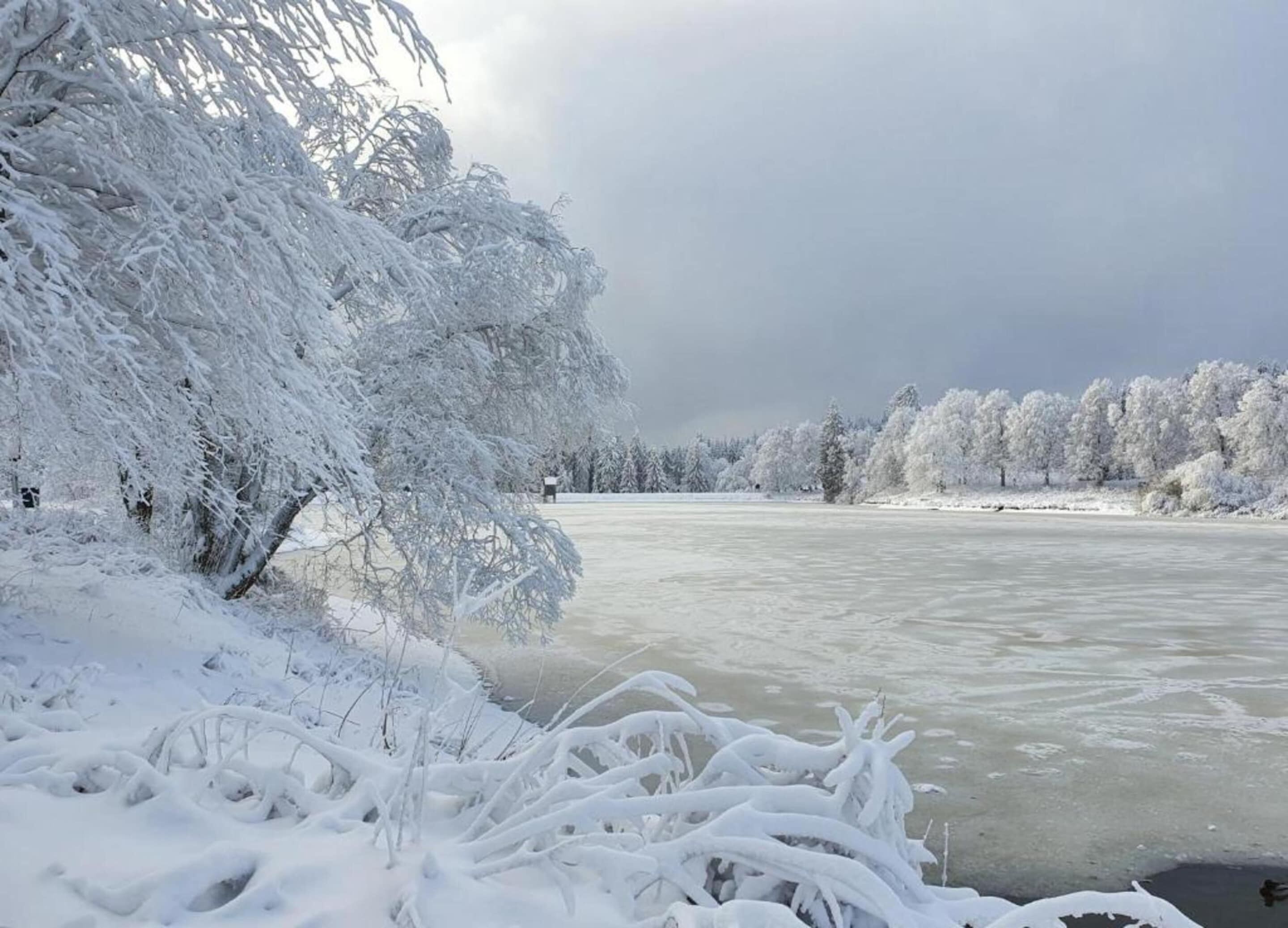 A frozen river with snow-covered trees and a cloudy sky.