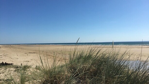 Une plage de sable avec une végétation clairsemée au premier plan.