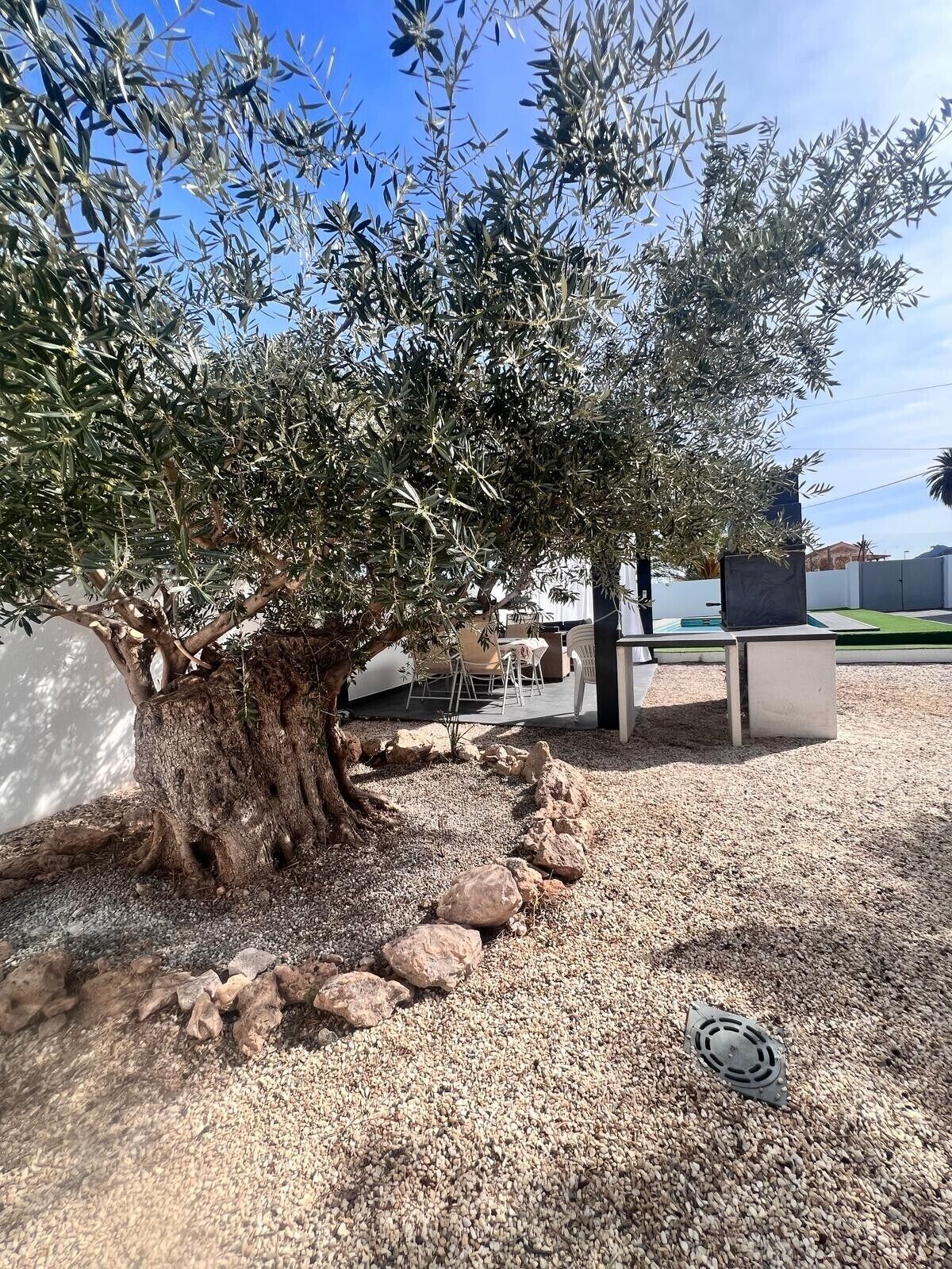 Un árbol de tronco grueso y follaje denso, un camino de grava y una zona de estar con mesa y sillas.