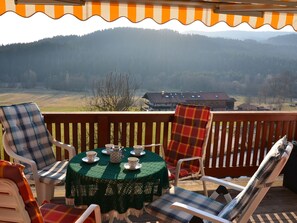 View from property - Ferienwohnung im Bayerischen Wald mit Sauna (Drachselsried)