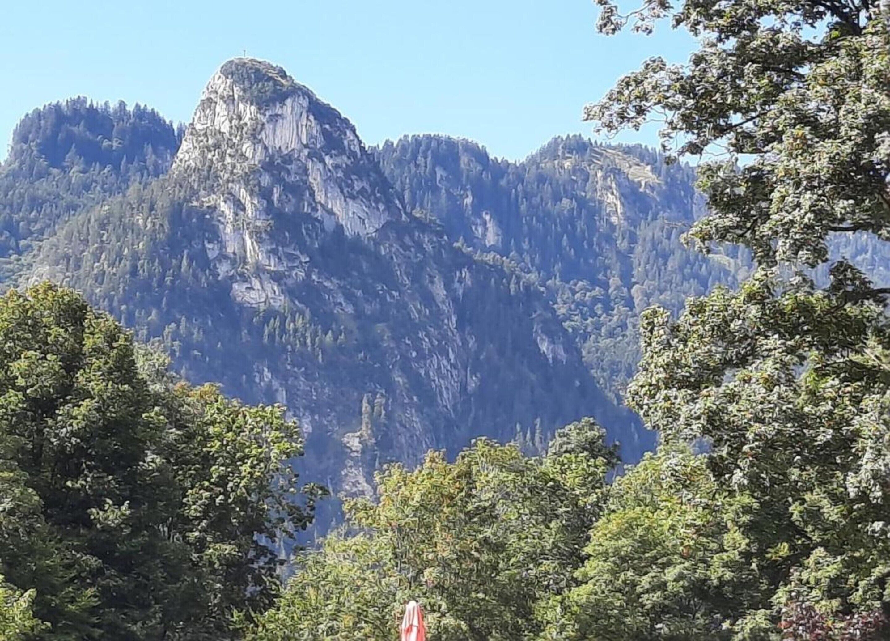 Paisaje montañoso con un bosque denso en primer plano y un pico rocoso destacado al fondo.