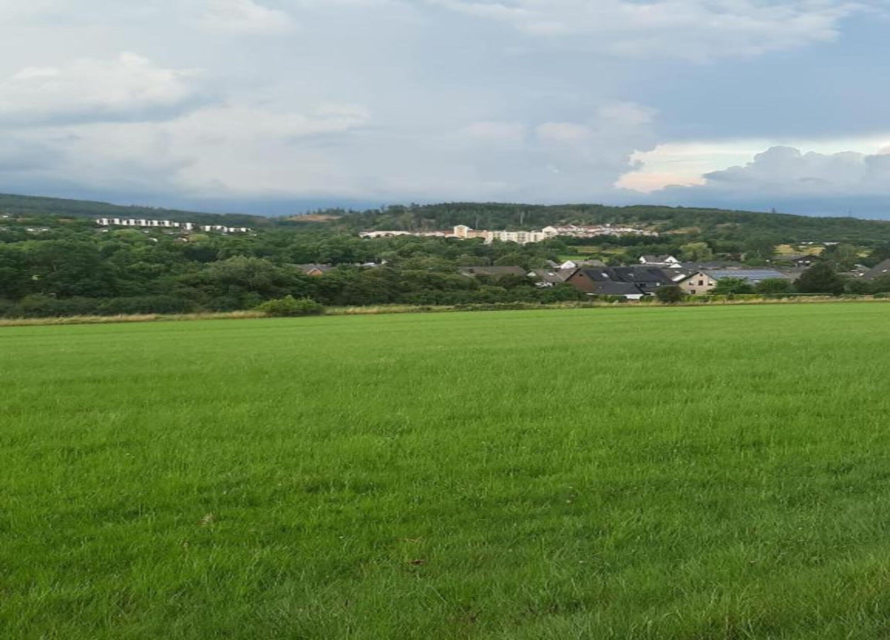 Un champ verdoyant avec un village en arrière-plan.