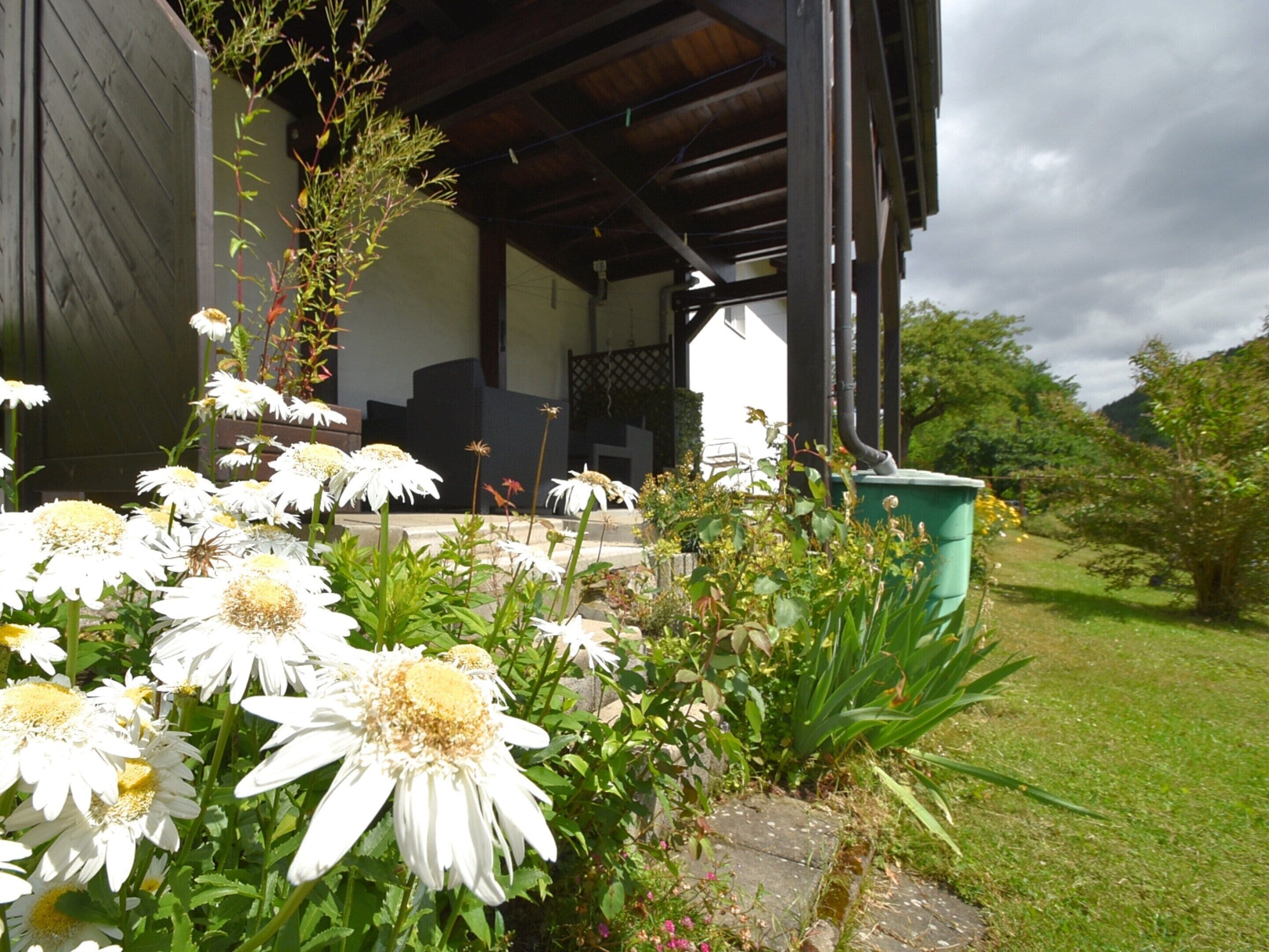 獨棟房屋 | 花園