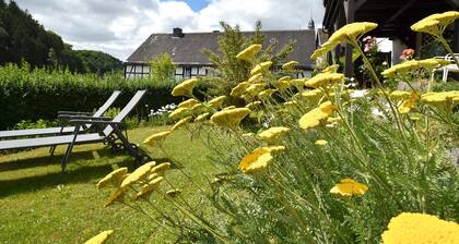 Ferienhaus, Medebach