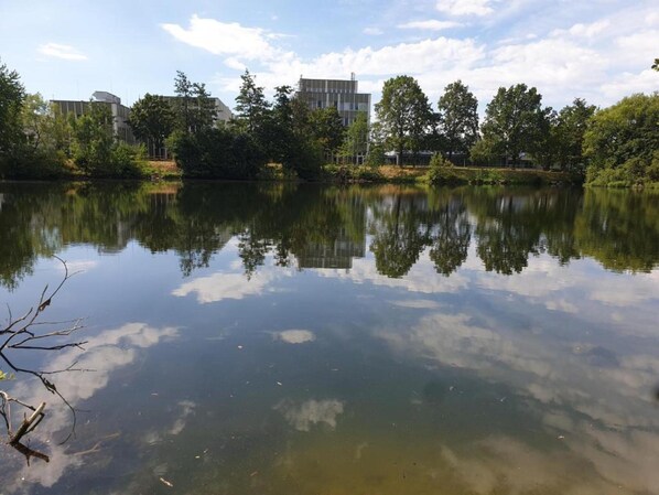 Un lac paisible où se reflètent les arbres et les bâtiments, entouré de verdure et surplombé d’un ciel dégagé.