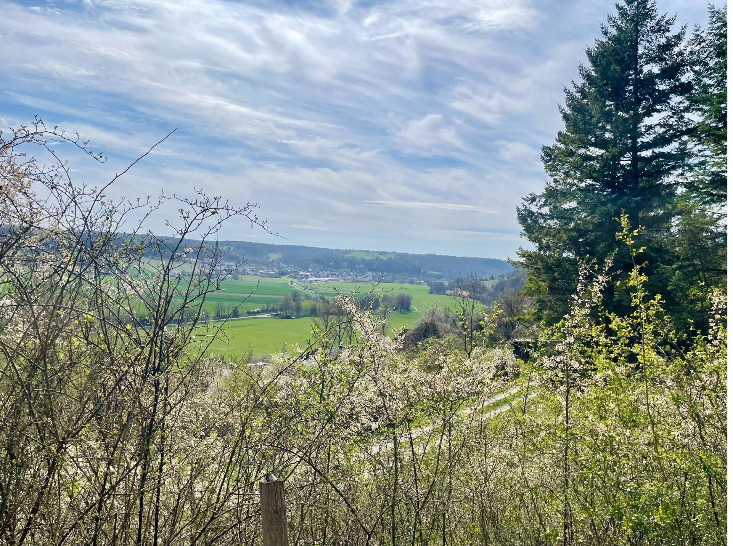Paesaggio rurale con vista su una città in lontananza, immerso nel verde e alberi.