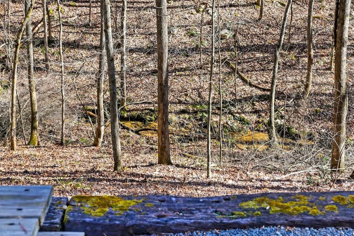 A forested area with a wooden bench and a log covered in moss.