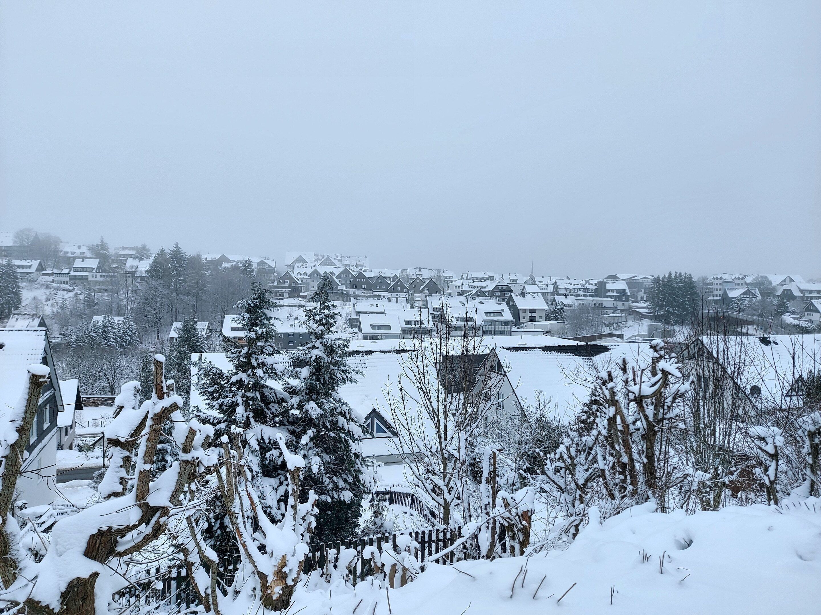 A snow-covered residential area with houses and trees.