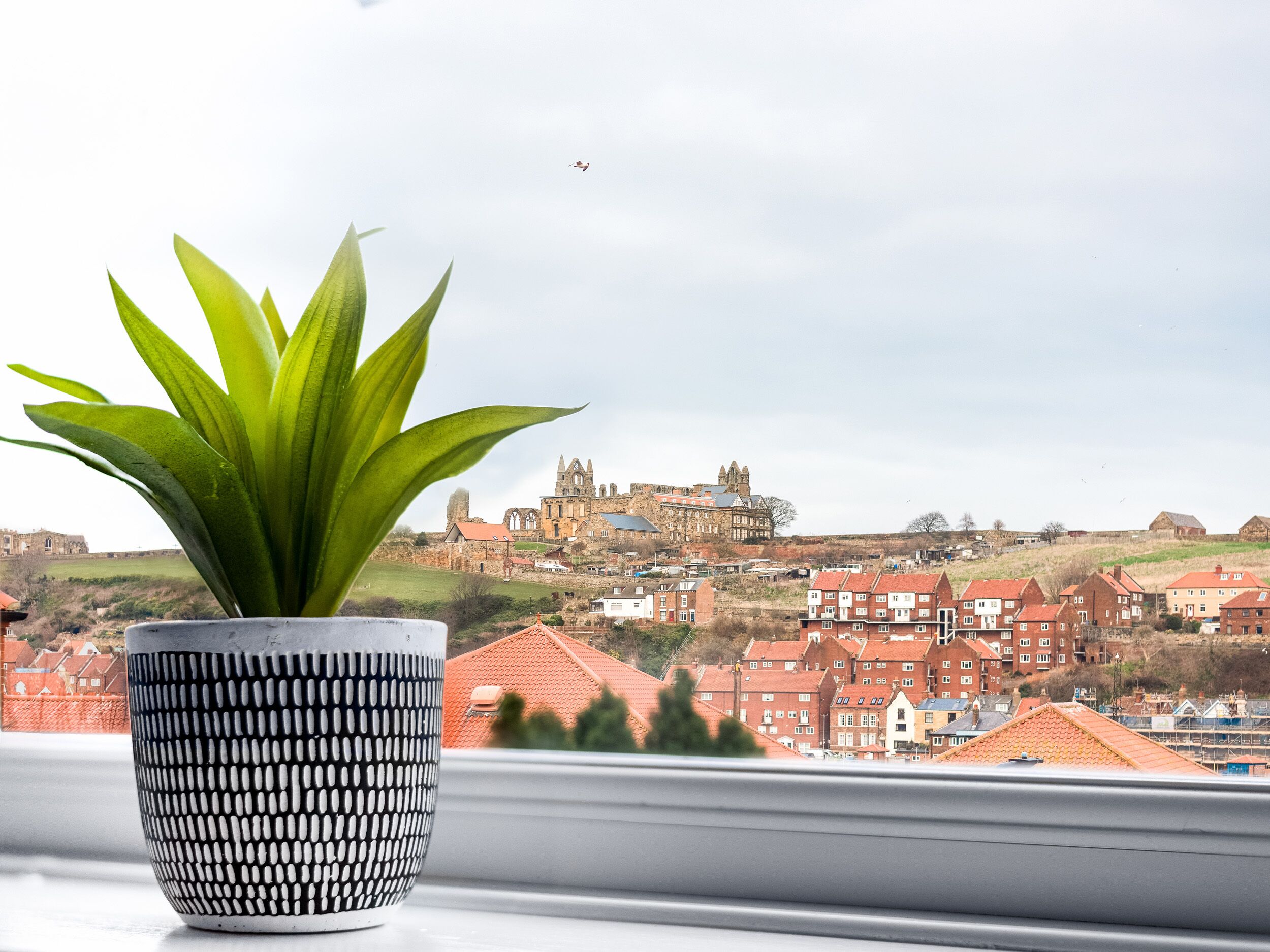 Cottage | View from property