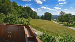 A wooden deck with a clear view of a grassy field, trees, and a distant landscape under a blue sky with clouds. - Apartment in the Bavarian Forest (Zenting)