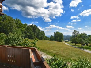 Apartment | Property amenity - Apartment in the Bavarian Forest (Zenting)