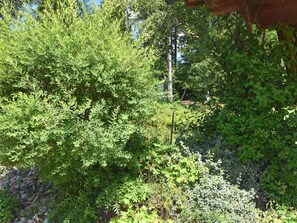 Apartment | Exterior - Apartment in the Bavarian Forest (Zenting)