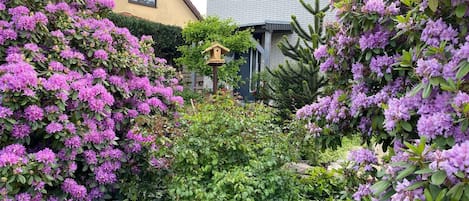 Apartment | Exterior