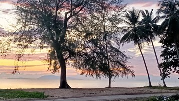 Escena de playa con un árbol grande y palmeras al fondo.