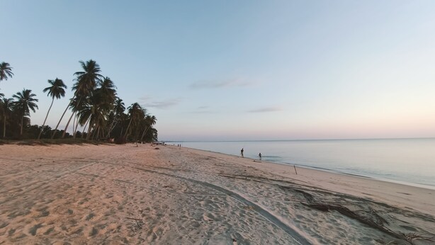 Una playa con palmeras, arena dorada y agua tranquila.
