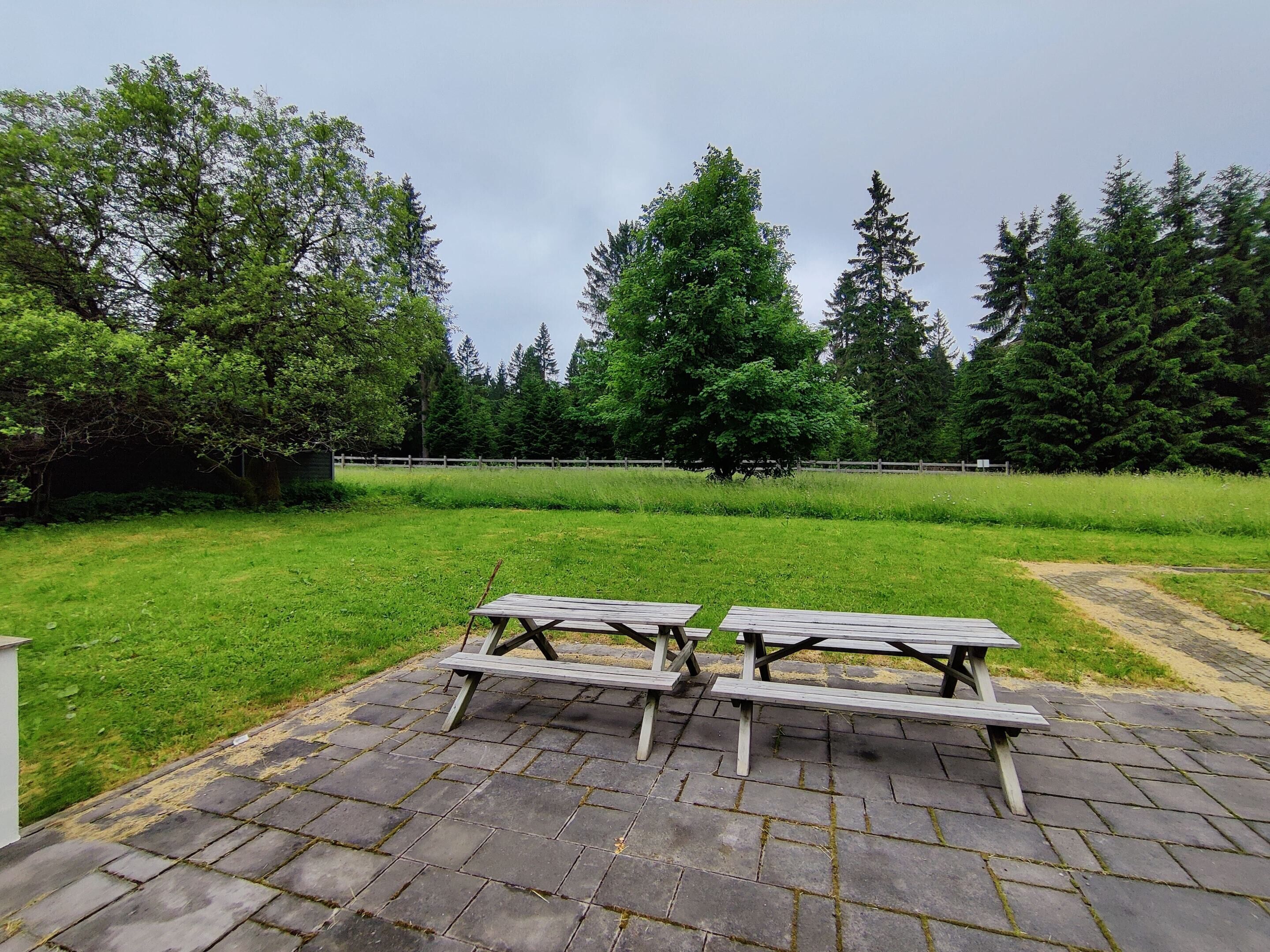 An outdoor picnic area with three wooden picnic tables on a paved surface, surrounded by a grassy field and trees.