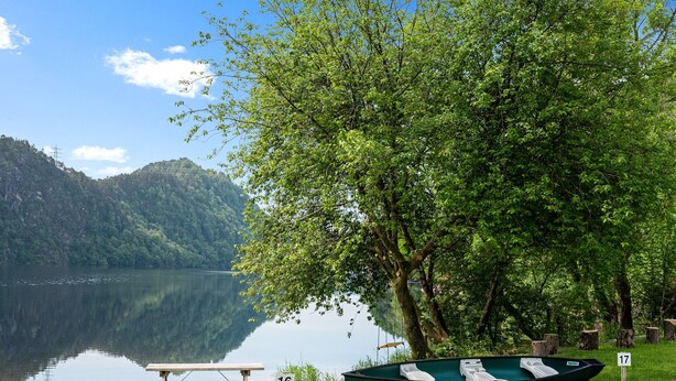 Une table de pique-nique et un petit bateau vert près d’un lac paisible, avec une colline boisée en arrière-plan.