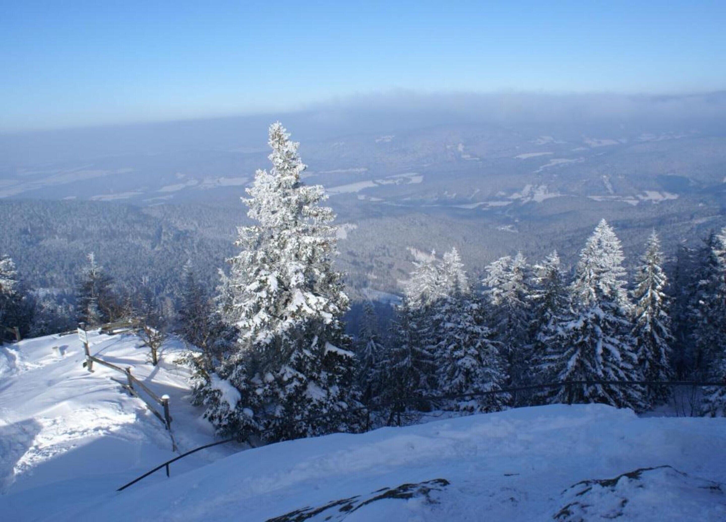 Paisagem nevada com vista ampla de uma área arborizada e colinas ao longe.