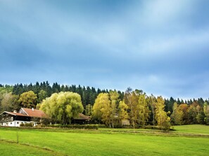 House | View from property - Hideaway With Hammock (Konzell)