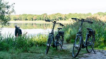 Un vélo est garé au bord d’un lac, et on aperçoit une personne au loin.