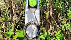 Une borne de recharge pour véhicules électriques, entourée d’une végétation luxuriante.