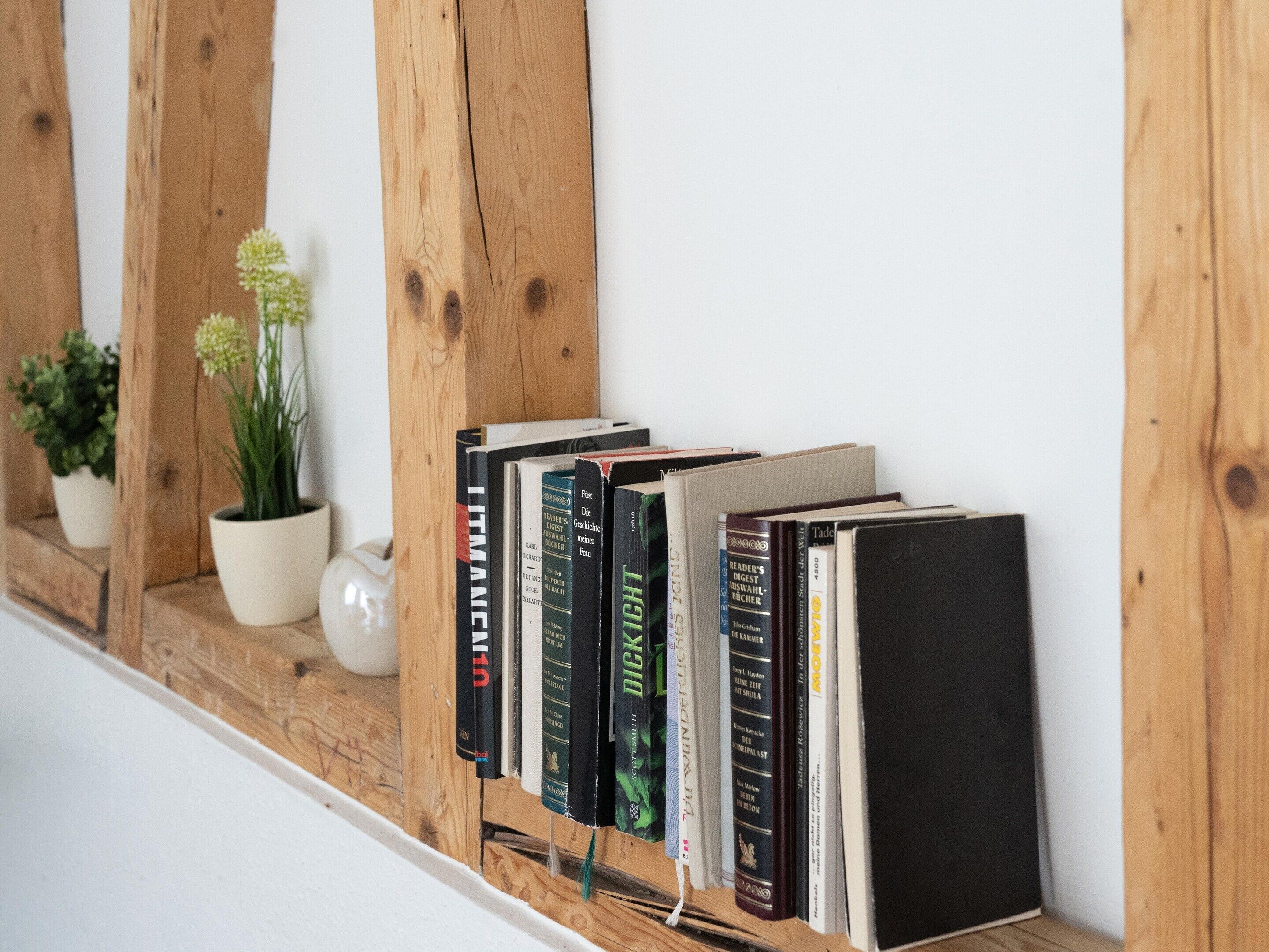 Une bibliothèque avec des livres et une plante en pot.