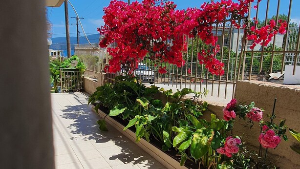 A balcony with a railing, potted plants, and red flowers. - Apartment in Loutra Elenis With Garden (Corinth)