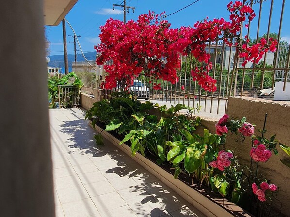 Biệt thự | Ngoại thất