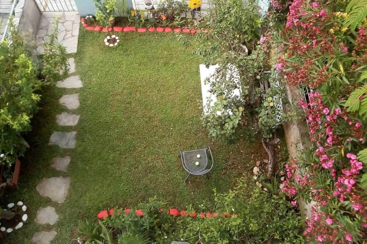 Un jardin avec une pelouse, des pas japonais et diverses plantes et fleurs.